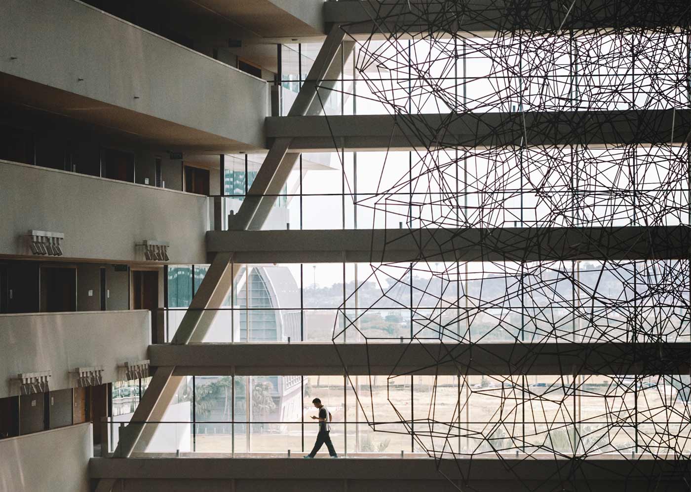 Best use of natural material to get more sunlight